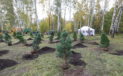 Игроки «Зенит» посадили деревья в Удельном парке 