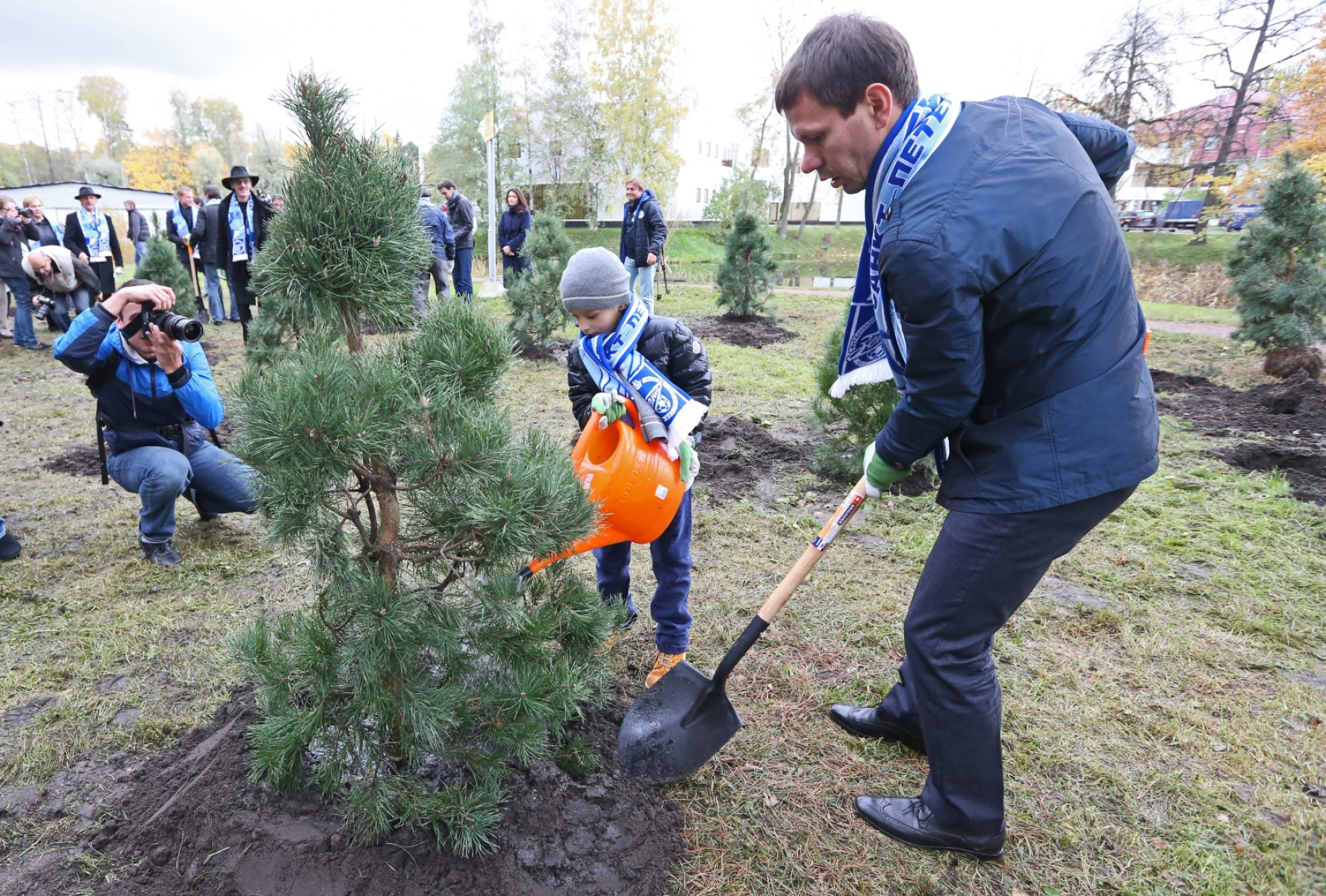 посадка деревьев в коробах