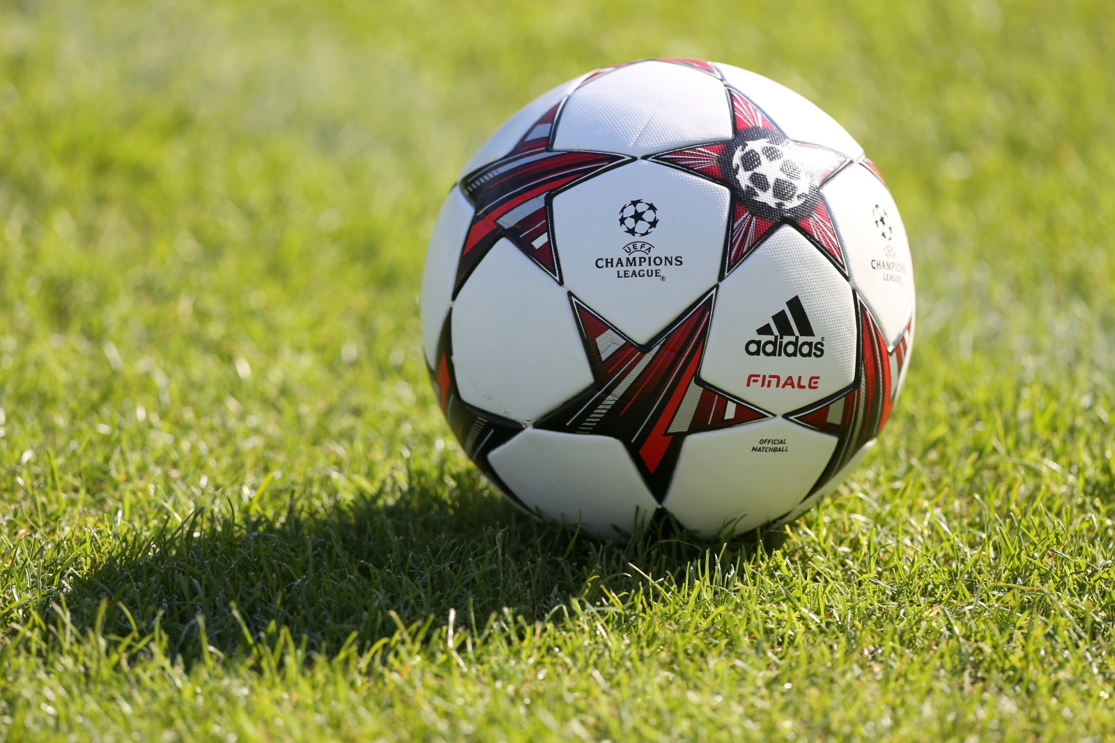 Тренировка «Зенита» перед  матчем «Зенит» — «Пасуш де Феррейра».