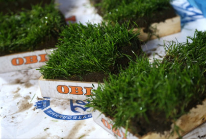 «ОБИ» подарил газон «Петровского» болельщикам
