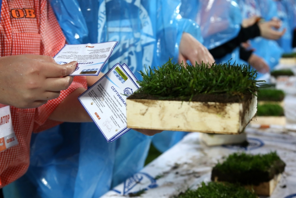 «ОБИ» подарил газон «Петровского» болельщикам