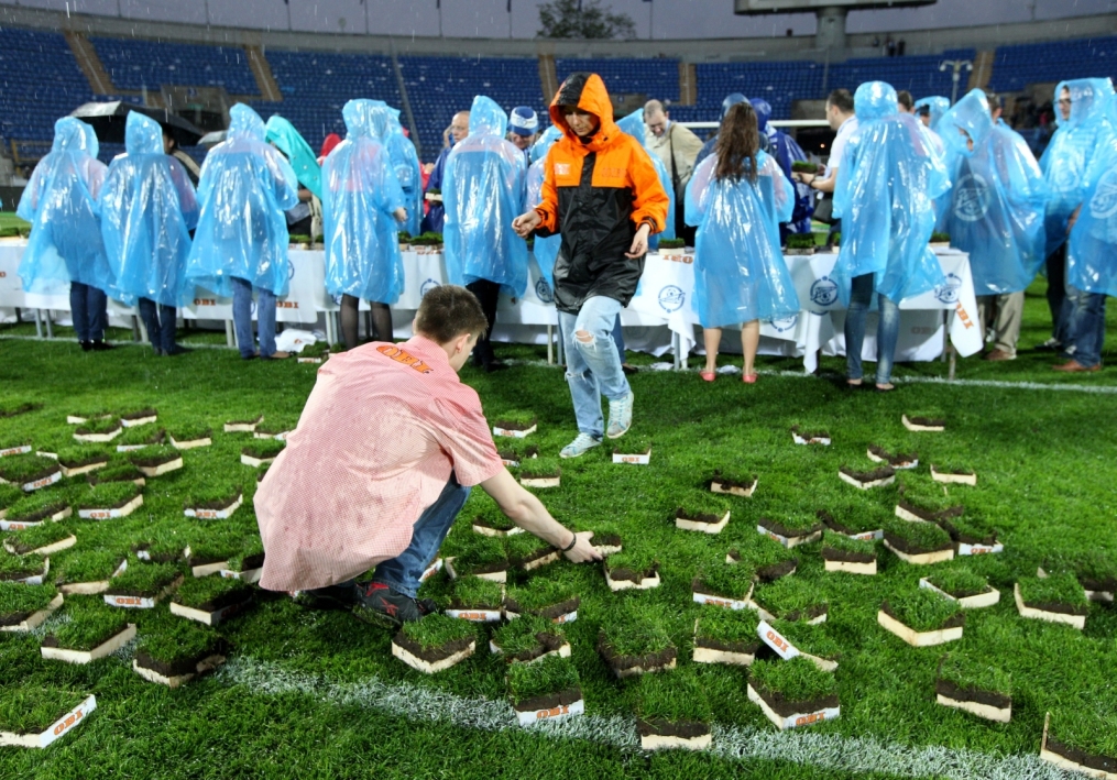 «ОБИ» подарил газон «Петровского» болельщикам