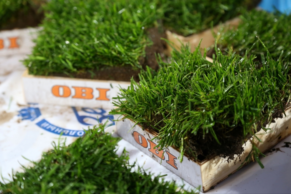 «ОБИ» подарил газон «Петровского» болельщикам