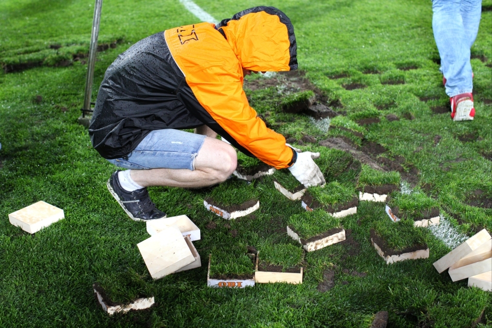 «ОБИ» подарил газон «Петровского» болельщикам