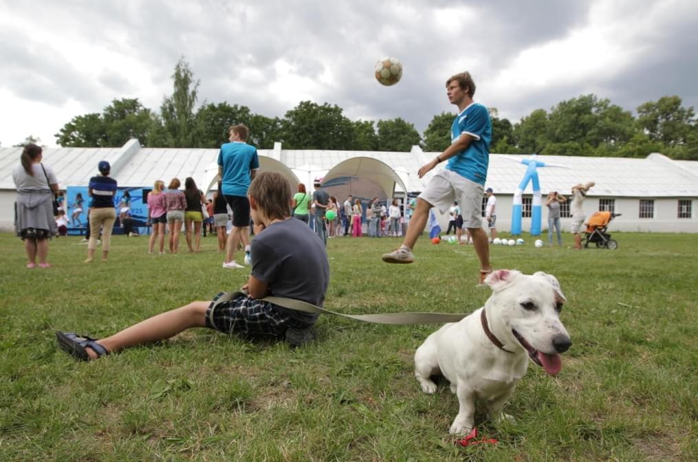 «Зенит»  в фестивале Stereoleto