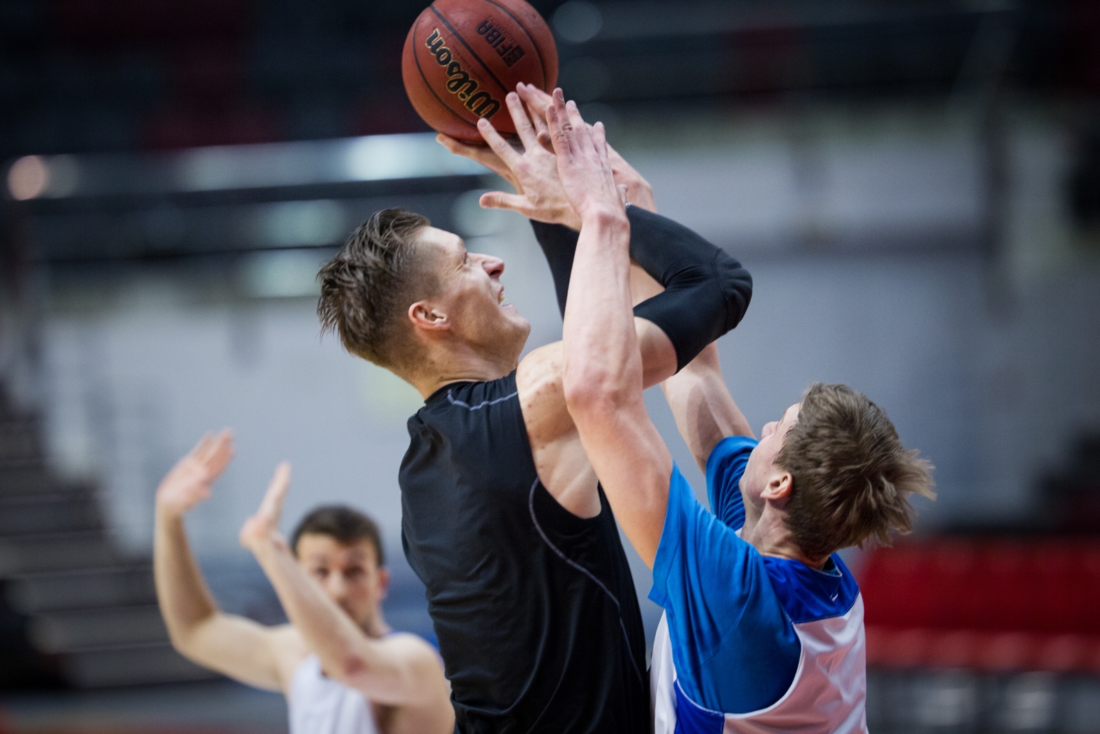 Тренировка основного состава БК «Зенит» перед матчем Единой лиги ВТБ 2015/2016 «Зенит» — «Нимбурк»