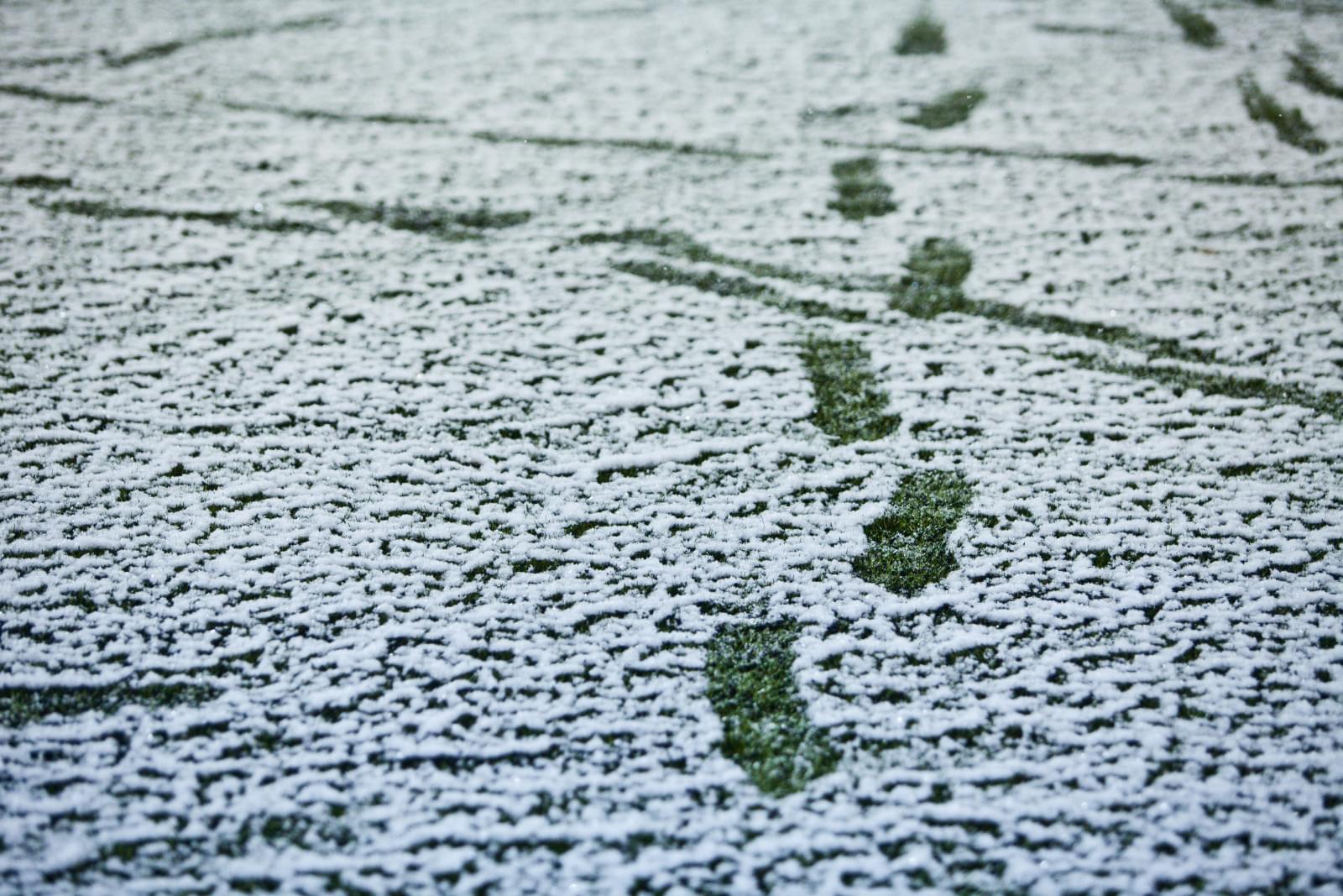 ФОНБЕТ-Первенство России среди команд клубов ФНЛ, «Зенит»-2 — «Шинник»