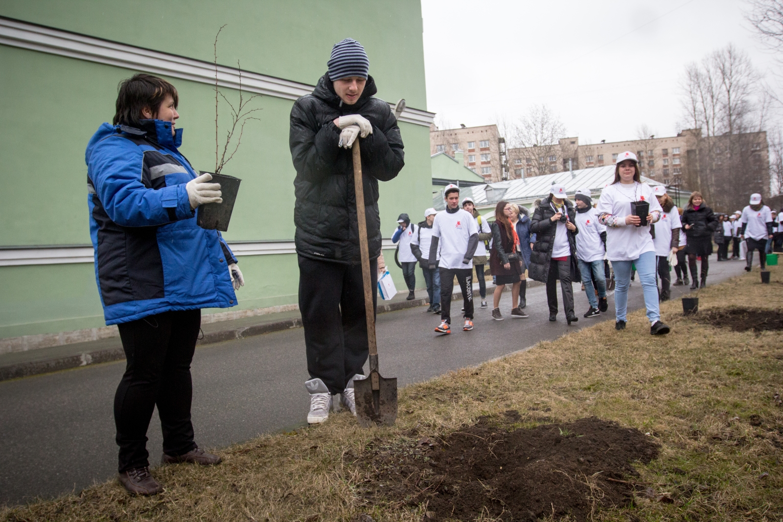 Посадка деревьев в рамках марафона «90 добрых дел»