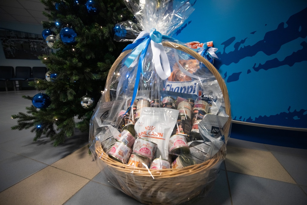 Футболисты и тренеры Академии ФК «Зенит» отвезли подарок в приют во всемирный день домашних животных