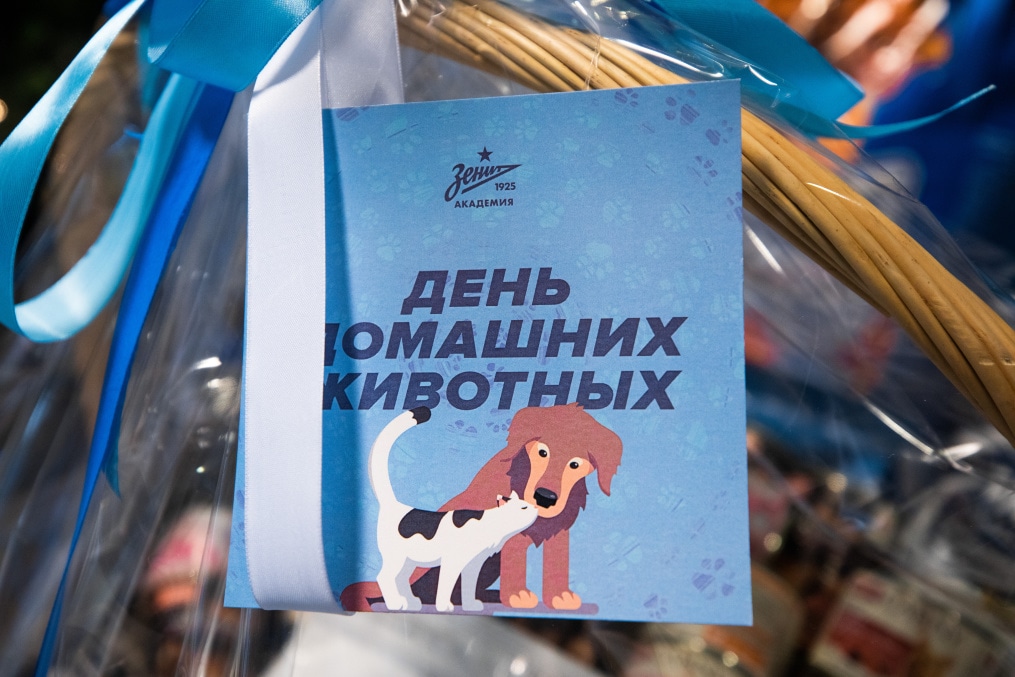 Футболисты и тренеры Академии ФК «Зенит» отвезли подарок в приют во всемирный день домашних животных