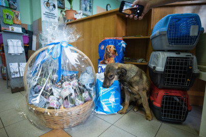 Футболисты и тренеры Академии ФК «Зенит» отвезли подарок в приют во всемирный день домашних животных