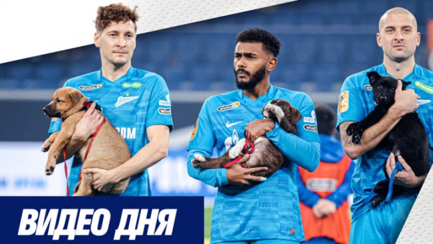 «Собакам лучше дома!»: акция «Зенита» на «Газпром Арене»