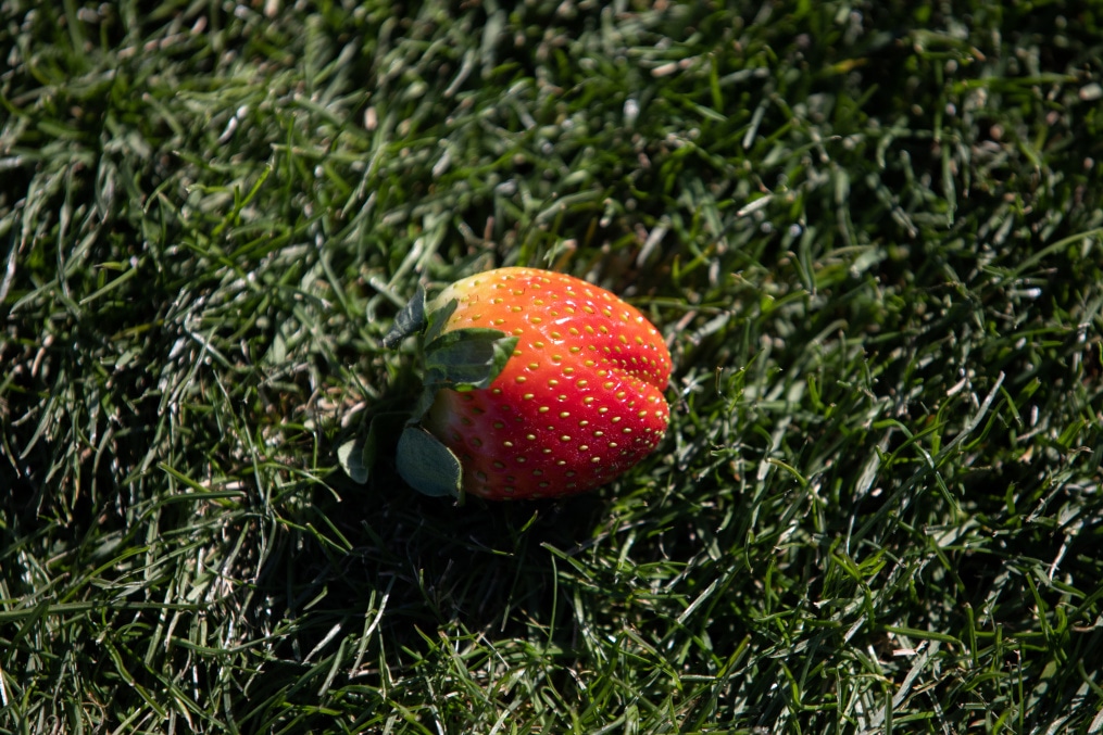 Сборы «Зенита»-м в Турции: 20 января, утренняя тренировка