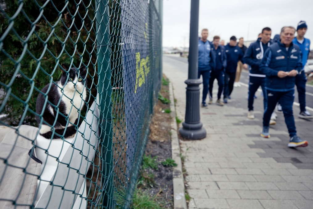 «Зенит» на прогулке перед матчем с «Фенербахче»