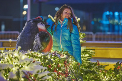 Открытие нового сезона «Катка у Флагштока»