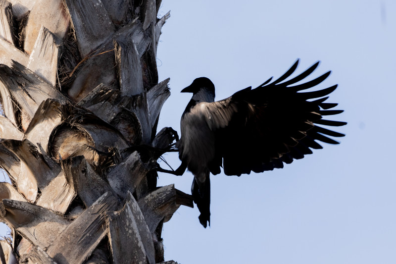 Зимний учебно-тренировочный сбор «Зенита»-2 в Турции: 16 февраля, вечерняя тренировка