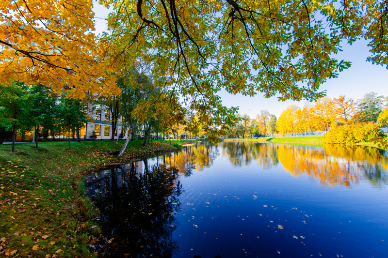 Осенние виды «Газпром»-тренировочного центра ФК «Зенит»
