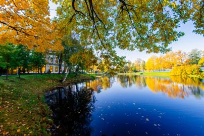 Осенние виды «Газпром»-тренировочного центра ФК «Зенит»