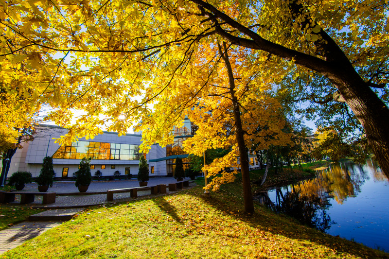 Осенние виды «Газпром»-тренировочного центра ФК «Зенит»