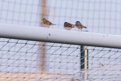 Зимние «Газпром» — тренировочные сборы 2026: тренировка 21 января