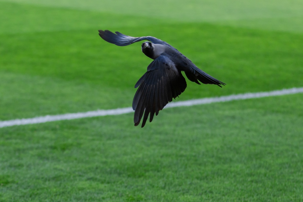 Зимние «Газпром» — тренировочные сборы 2026: тренировка 30 января