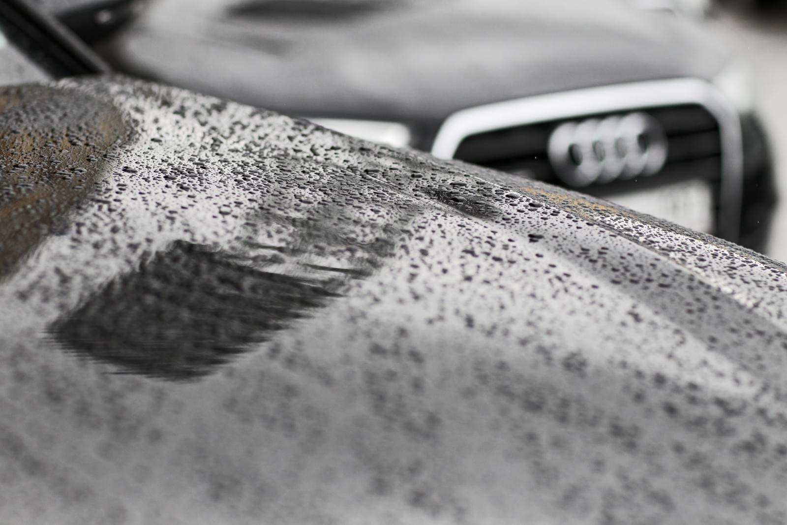 Футболистам «Зенита» подарили Ауди