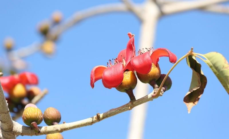 Сборы в Израиле: 29 января, утренняя тренировка