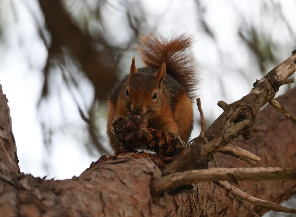 Сборы в Турции: 10 февраля, утренняя тренировка