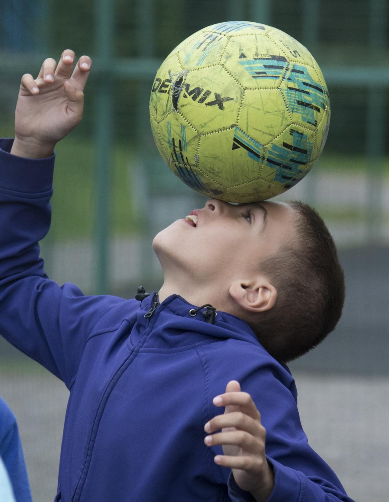 Синегривый Лев посетил детский лагерь «Звездный»