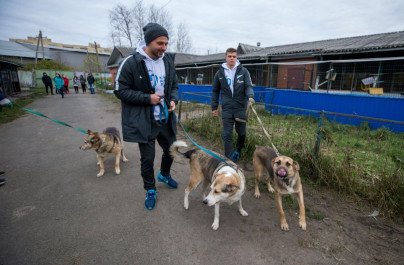 «Марафон добра»: игроки «Зенит»-2 и волонтеры посетили приют для животных «Ржевка»