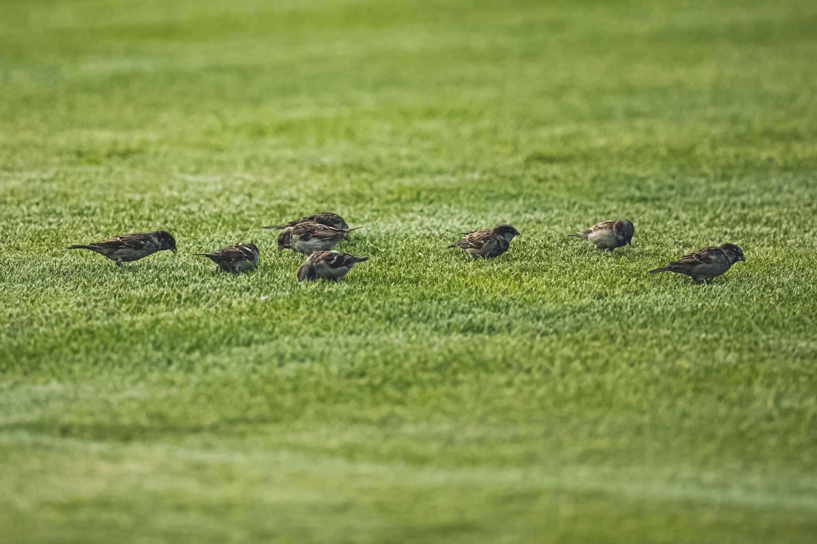 Тренировка женской команды в Красноярске
