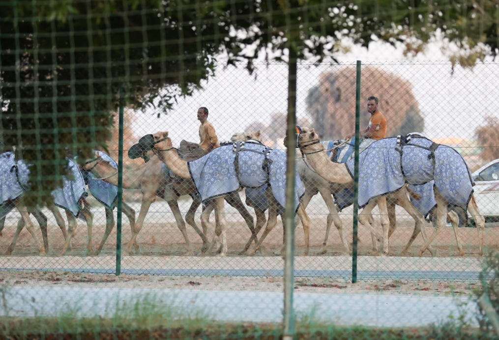 «Газпром»-тренировочные сборы «Зенита» в Дубае: 16 января, вечерняя тренировка