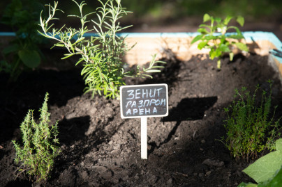 Открытие большого городского огорода