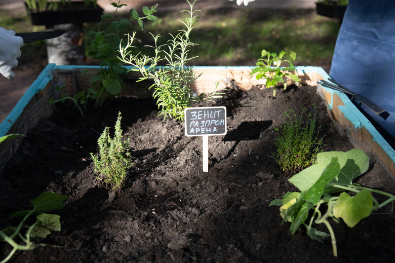 Открытие большого городского огорода