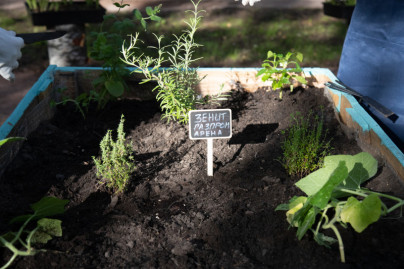 Открытие большого городского огорода