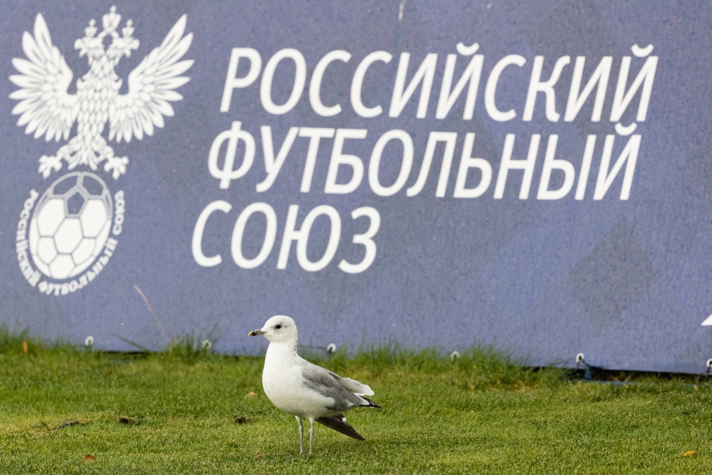 Юношеская футбольная лига-1, «СШОР Зенит» U-17— «Зенит» U-17