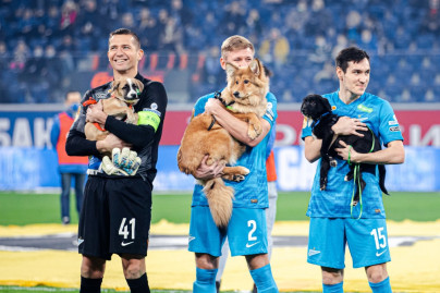 «Собакам лучше дома!»: социальная акция «Зенита» на матче «Зенит» — «Ростов»