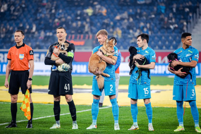 «Собакам лучше дома!»: социальная акция «Зенита» на матче «Зенит» — «Ростов»