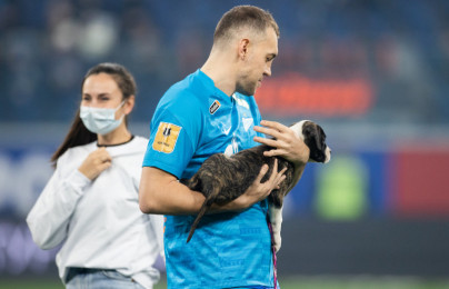 «Собакам лучше дома!»: социальная акция «Зенита» на матче «Зенит» — «Ростов»