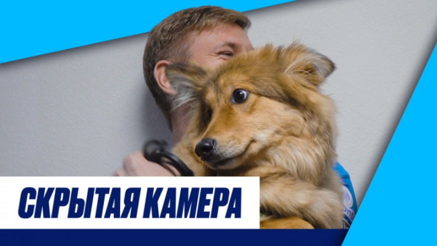 Скрытая камера: собаки на арене, опустевший Вираж и ничья с «Ростовом»