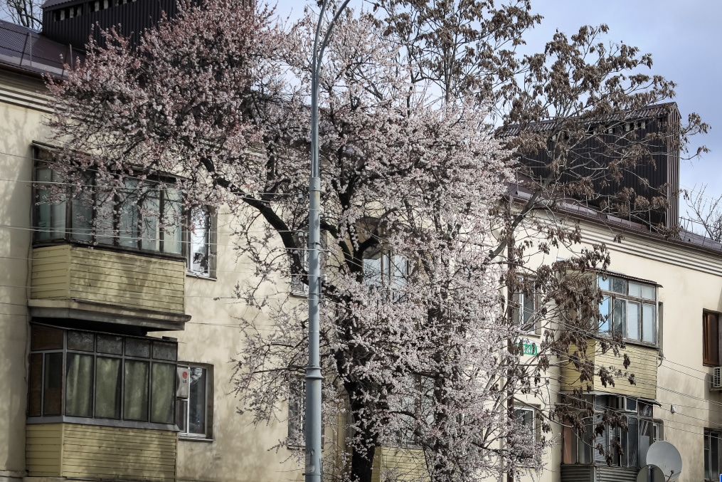 Прогулка молодежной команды «Зенит» перед матчем с «Краснодаром»