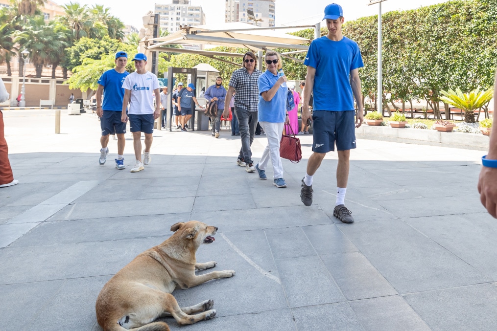 Экскурсия молодежной команды «Зенит» в Александрии