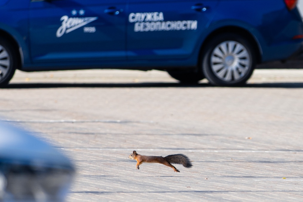 ЗенитStyle: на тренировку перед матчем с «Пари НН»