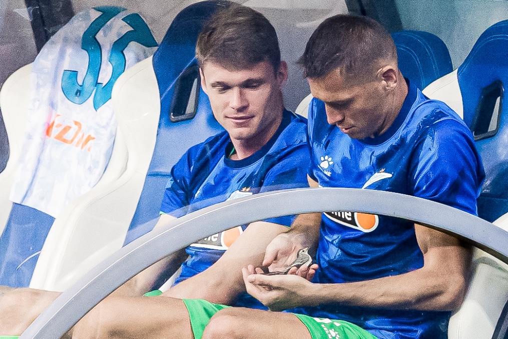 Мир Российская Премьер-Лига 2024/25, «Пари НН» — «Зенит»