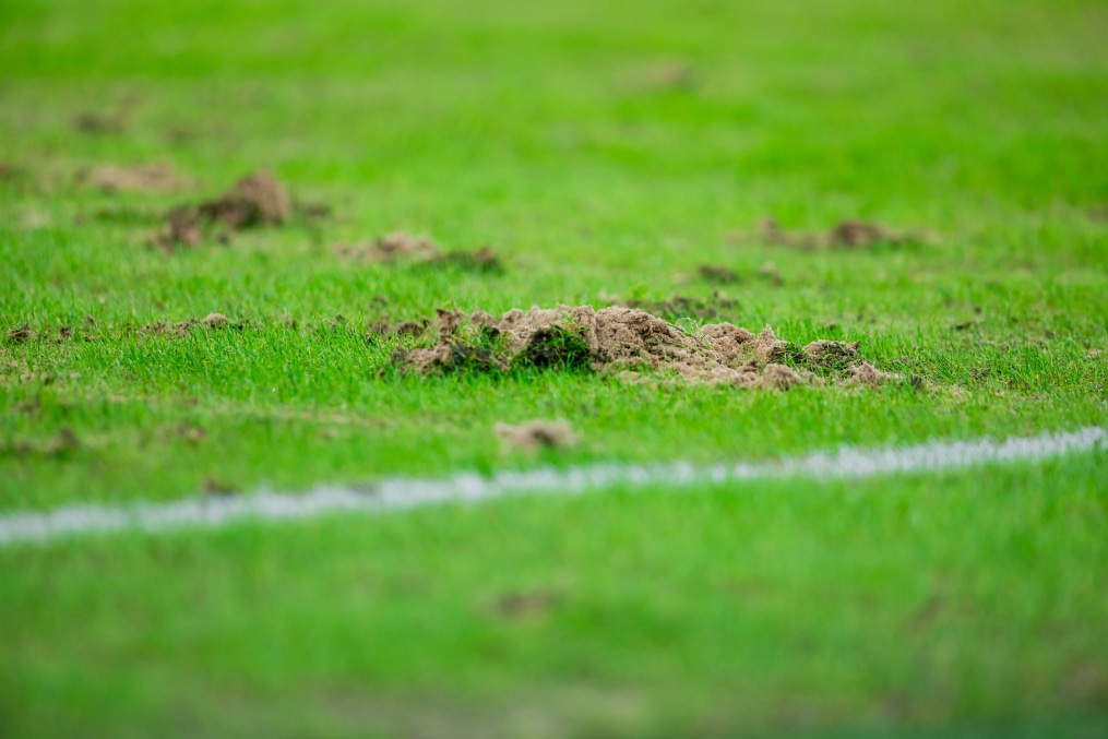 FONBET Кубок России, «Балтика» — «Зенит»