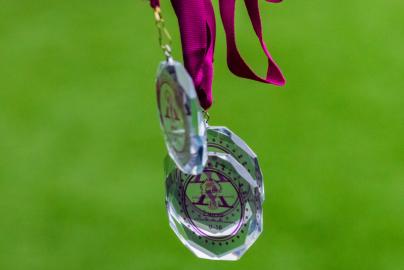 «Кубок дружбы — 2026»: награждение победителей и призеров, юниорок U-16