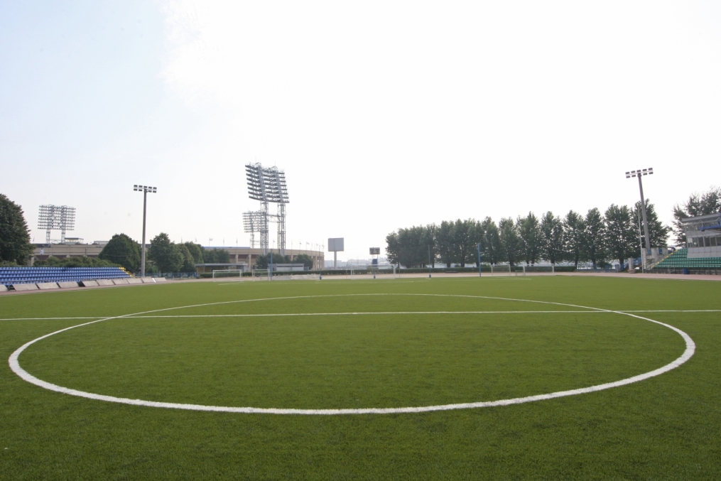 Малая арена СК«Петровский»