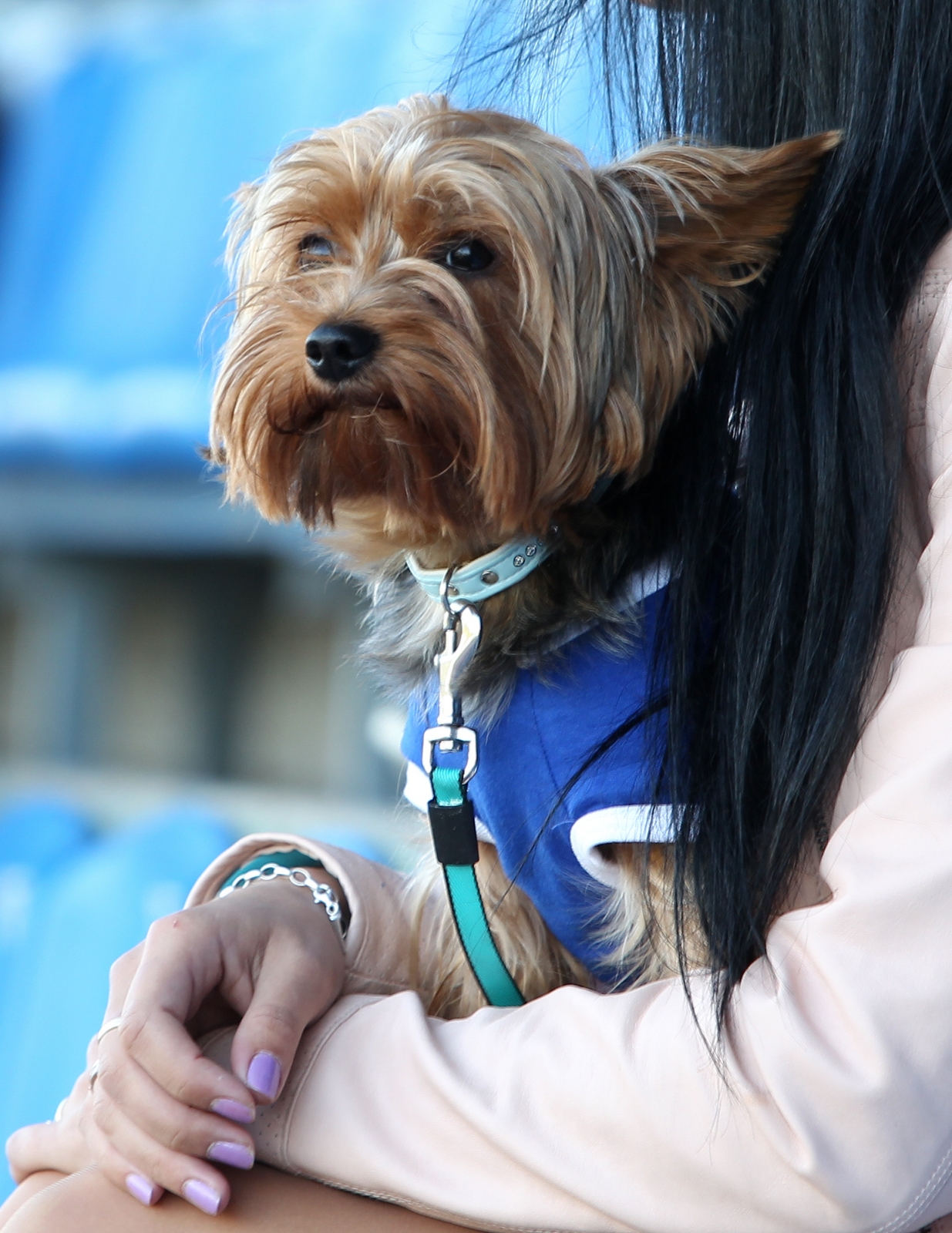 Зенит-м — Терек-м