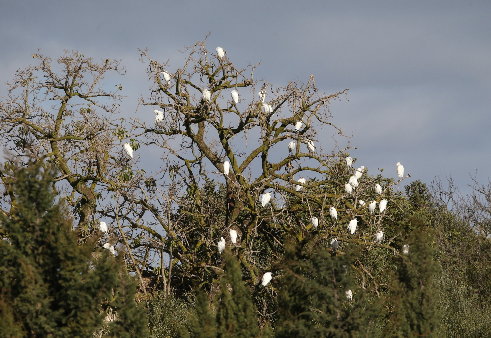 Сборы в Испании: 7 февраля, утренняя тренировка