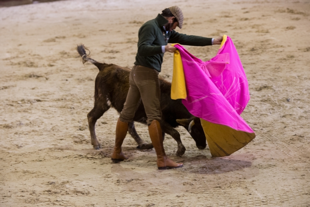 Сборы в Испании: 10 февраля, «Зенит» на ферме «Лос Альбухерос»